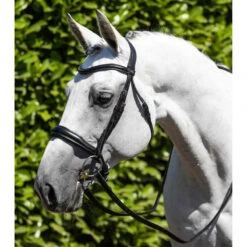 Bridon équitation Anatomique équitation Premier Equine Verdura -Maître Équestre bridon equitation anatomique equitation premier equine verdura 2