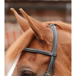 Bridon Premier Equine Mossimo -Maître Équestre bridon premier equine mossimo 2