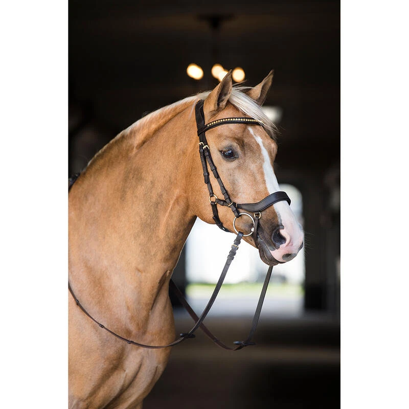 Bridon Quasar Horsegear Marron-doré 6 Bridon Quasar Horsegear Marron-doré – Image 4