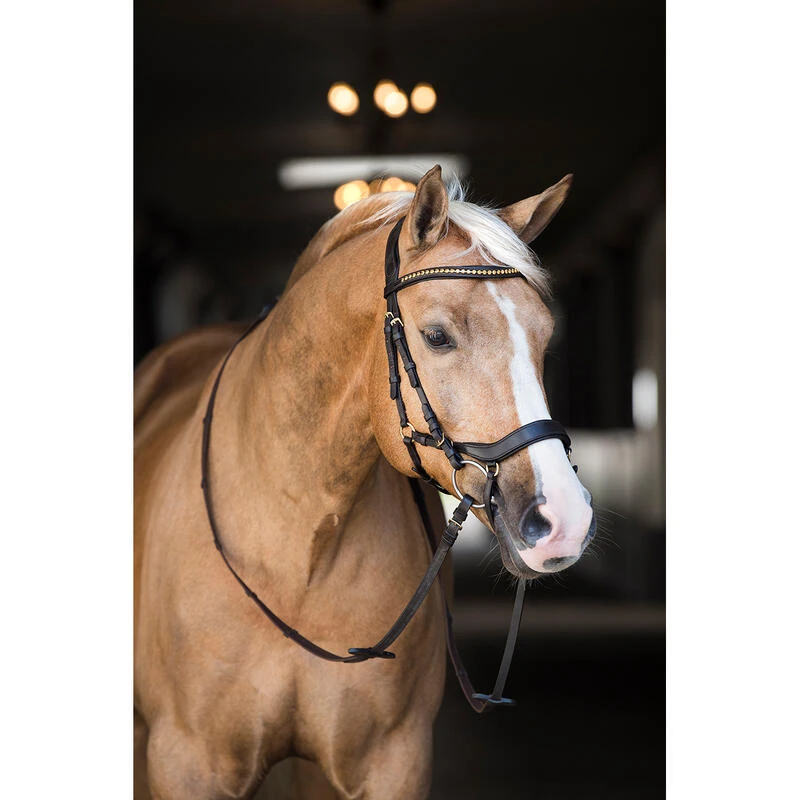 Bridon Quasar Horsegear Marron-doré 7 Bridon Quasar Horsegear Marron-doré – Image 5