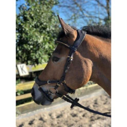Bridon Quasar Horsegear Marron-doré 13 Bridon Quasar Horsegear Marron-doré -Maître Équestre bridon quasar horsegear marron dore 5