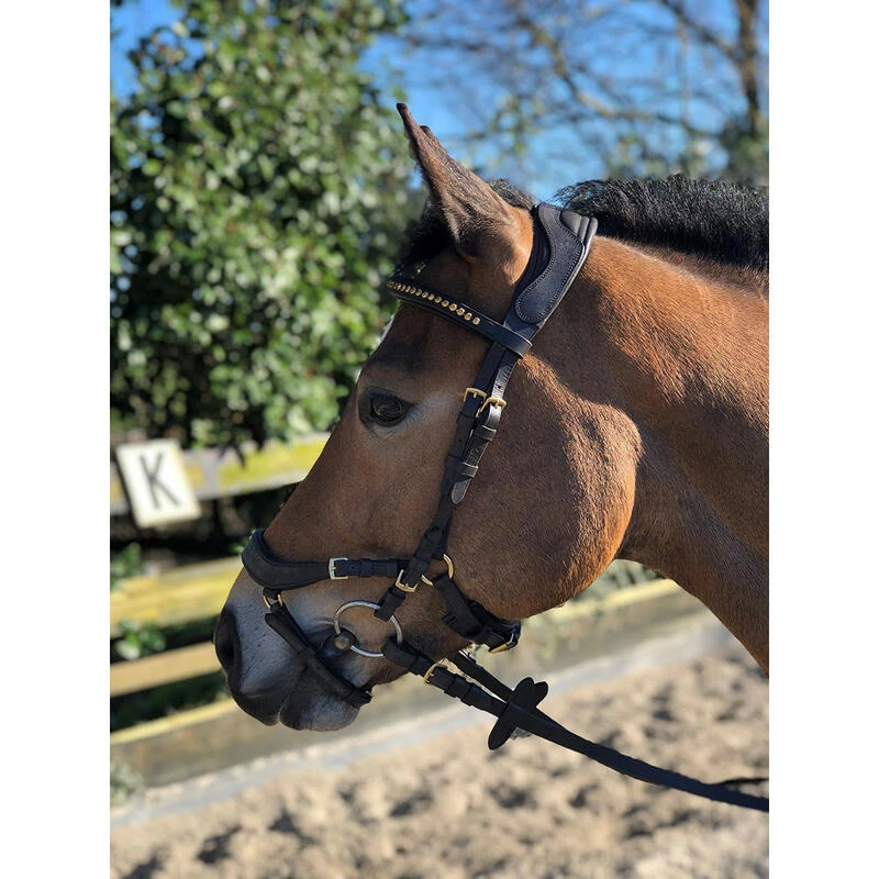 Bridon Quasar Horsegear Marron-doré 8 Bridon Quasar Horsegear Marron-doré – Image 6