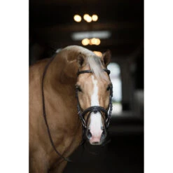 Bridon Taron Horsegear Marron 7 Bridon Taron Horsegear Marron -Maître Équestre bridon taron horsegear marron 2