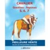 Cavalier - Questions - Réponses Galops 5, 6, 7 -Maître Équestre cavalier questions reponses galops 5 6 7