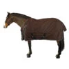 Chemise Imperméable Extérieur Cheval Et Poney - ALLWEATHER LIGHT Marron -Maître Équestre chemise impermeable exterieur cheval et poney allweather light marron