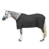 Chemise Séchante équitation Cheval Et Poney Gris -Maître Équestre chemise sechante equitation cheval et poney gris