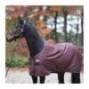Couverture D'extérieur Pour Cheval Kavalkade Montreal 0g -Maître Équestre couverture dexterieur pour cheval kavalkade montreal 0g