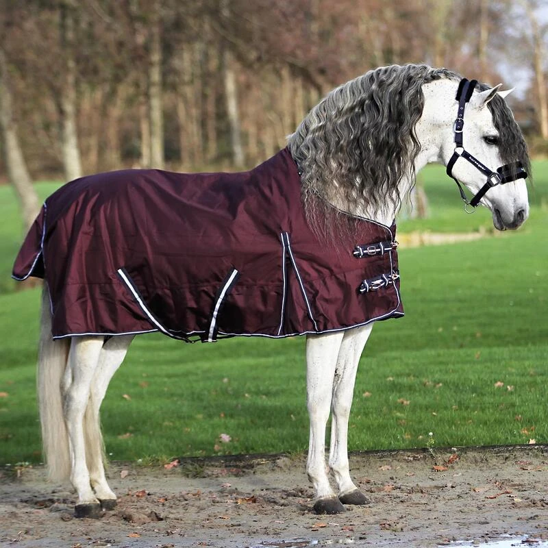 Couverture Extreme 300 G Horsegear Violet 5 Couverture Extreme 300 G Horsegear Violet – Image 3