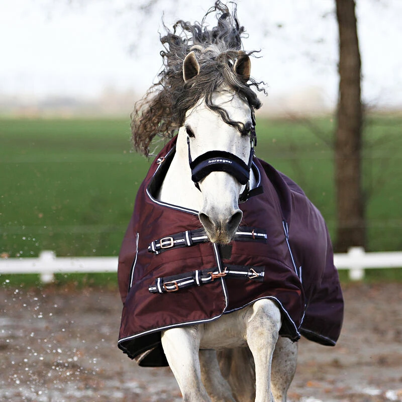 Couverture Extreme 300 G Horsegear Violet 8 Couverture Extreme 300 G Horsegear Violet – Image 6