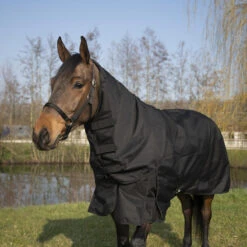 Couvre-cou équitation Imperméable Cheval - Allweather Light Noir -Maître Équestre couvre cou equitation impermeable cheval allweather light noir 1