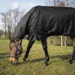 Couvre-cou équitation Imperméable Cheval - Allweather Light Noir -Maître Équestre couvre cou equitation impermeable cheval allweather light noir 2