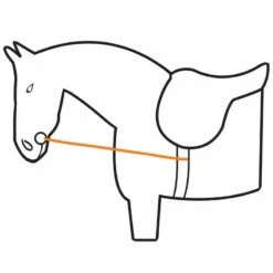 Maître Équestre -Maître Équestre enrenement epplejeck noir 1