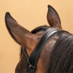 Filet équitation Cuir Muserolle Française Glossy Cheval Et Poney - 580 Noir -Maître Équestre filet equitation cuir muserolle francaise glossy cheval et poney 580 noir 3