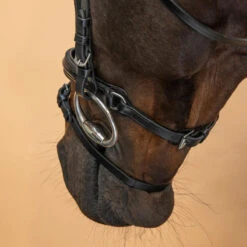 Filet équitation Cuir Muserolle Française Glossy Cheval Et Poney - 580 Noir -Maître Équestre filet equitation cuir muserolle francaise glossy cheval et poney 580 noir 6