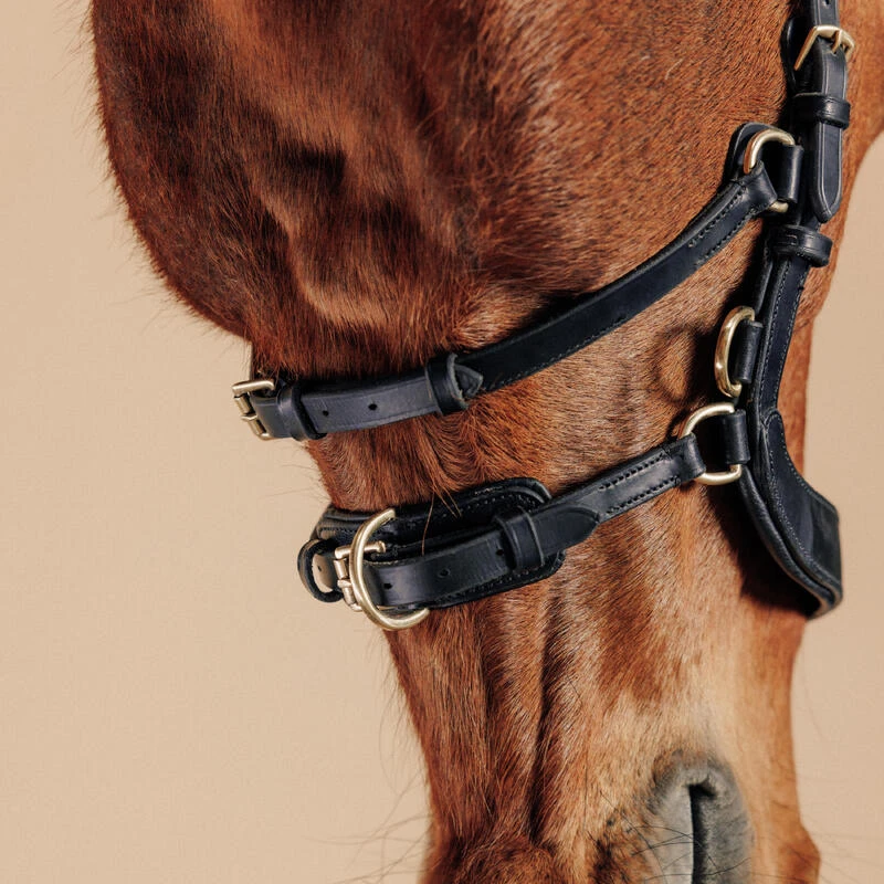 Filet Sans Mors équitation Cheval Et Poney - Noir 4 Filet Sans Mors équitation Cheval Et Poney - Noir – Image 2