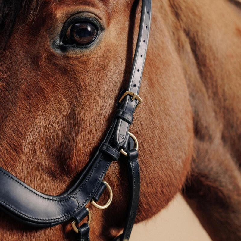 Filet Sans Mors équitation Cheval Et Poney - Noir 5 Filet Sans Mors équitation Cheval Et Poney - Noir – Image 3
