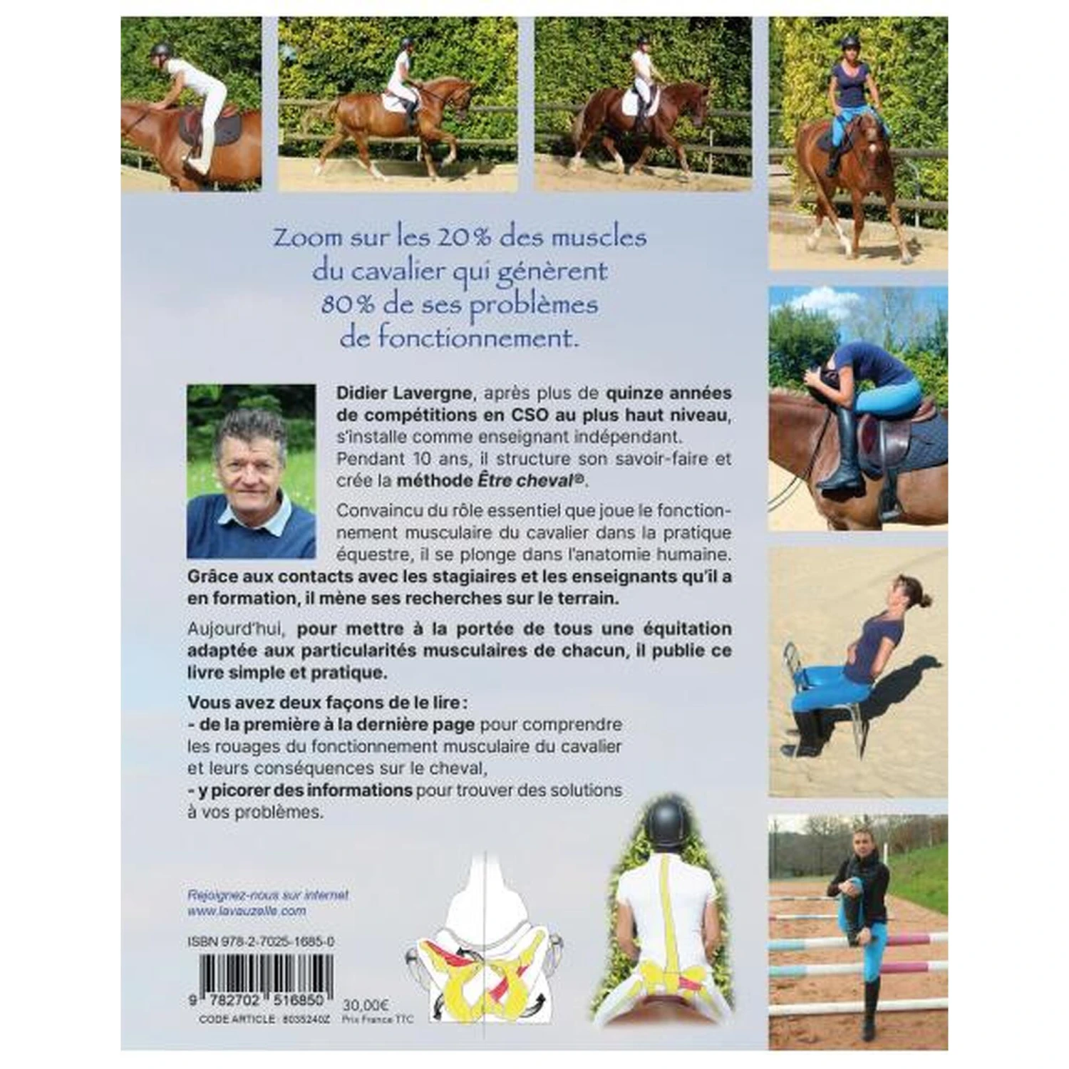 Fonctionnement Musculaire Du Cavalier - Confort Et Performance 4 Fonctionnement Musculaire Du Cavalier - Confort Et Performance – Image 2