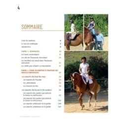 Fonctionnement Musculaire Du Cavalier - Confort Et Performance 8 Fonctionnement Musculaire Du Cavalier - Confort Et Performance -Maître Équestre fonctionnement musculaire du cavalier confort et performance 2