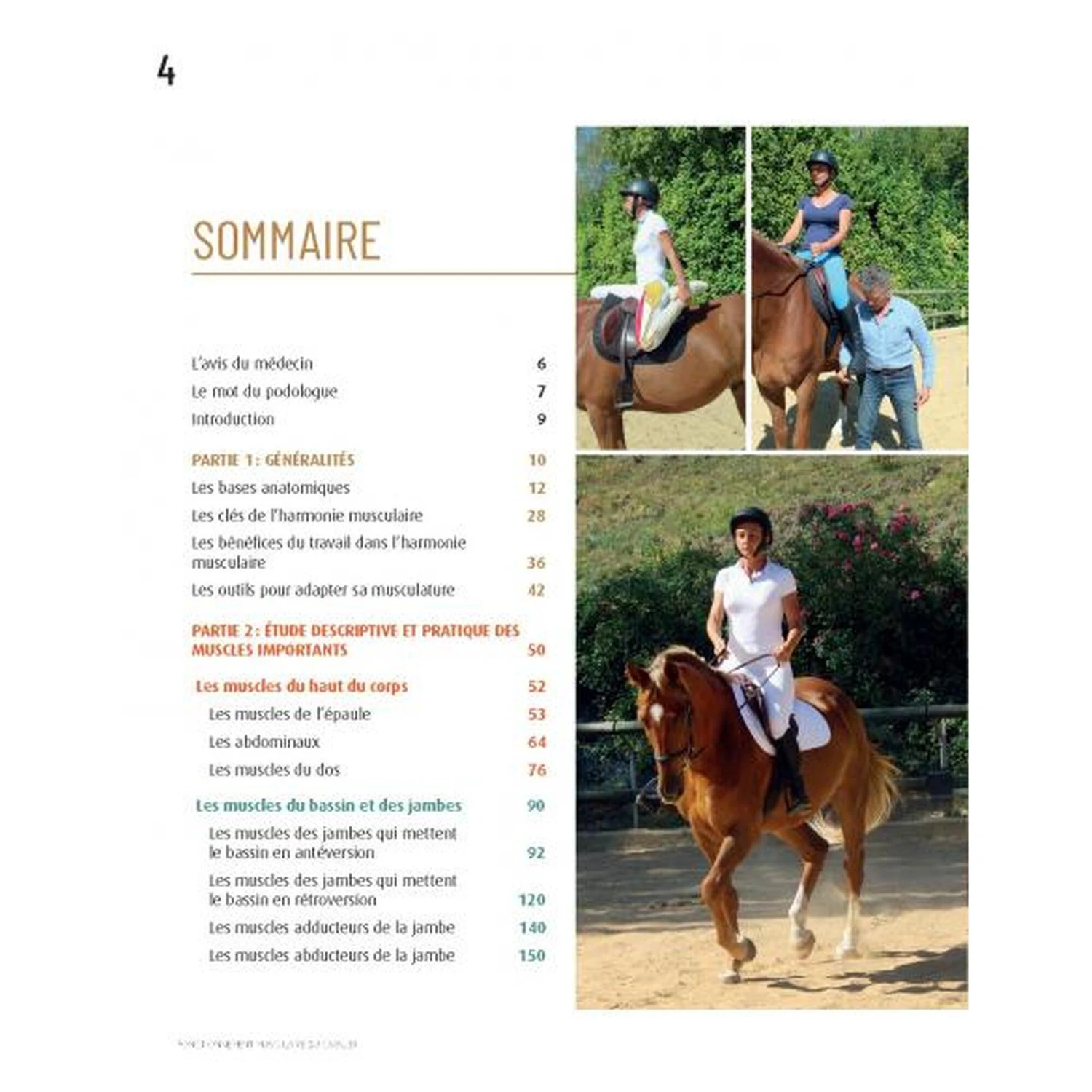 Fonctionnement Musculaire Du Cavalier - Confort Et Performance 5 Fonctionnement Musculaire Du Cavalier - Confort Et Performance – Image 3