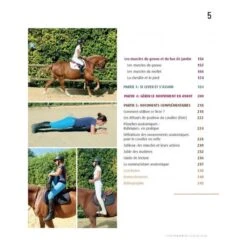 Fonctionnement Musculaire Du Cavalier - Confort Et Performance 9 Fonctionnement Musculaire Du Cavalier - Confort Et Performance -Maître Équestre fonctionnement musculaire du cavalier confort et performance 3