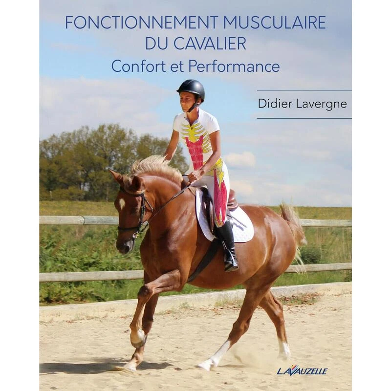 Fonctionnement Musculaire Du Cavalier - Confort Et Performance 3 Fonctionnement Musculaire Du Cavalier - Confort Et Performance