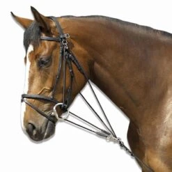 Gogue équitation Cheval - Schooling Noir 17 Gogue équitation Cheval - Schooling Noir -Maître Équestre gogue equitation cheval schooling noir 7