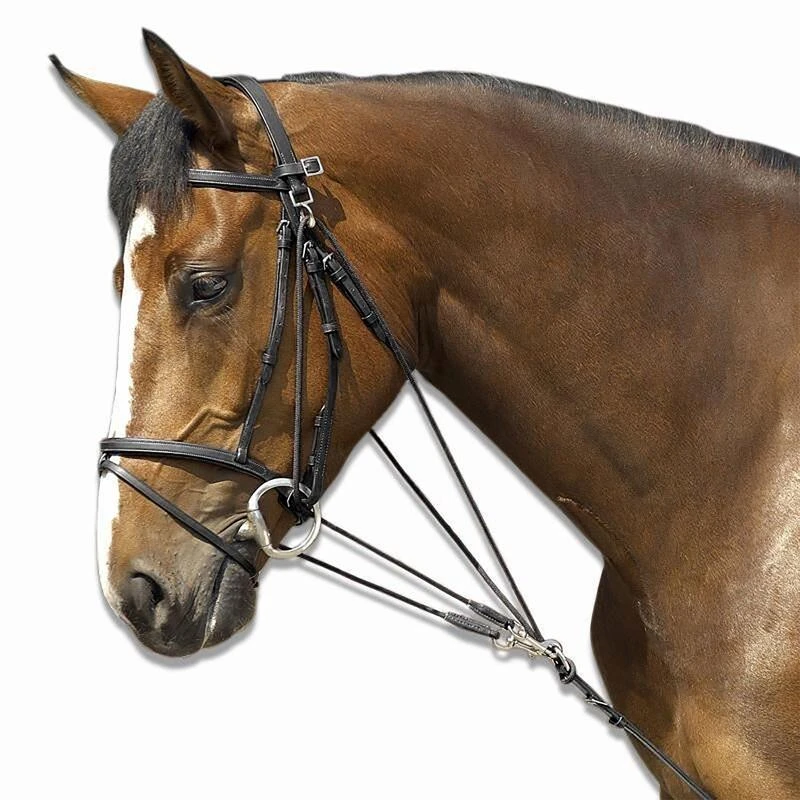 Gogue équitation Cheval - Schooling Noir 10 Gogue équitation Cheval - Schooling Noir – Image 8