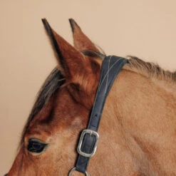 Licol équitation Cuir Synthétique Cheval Et Poney - 500 Noir -Maître Équestre licol equitation cuir synthetique cheval et poney 500 noir 4