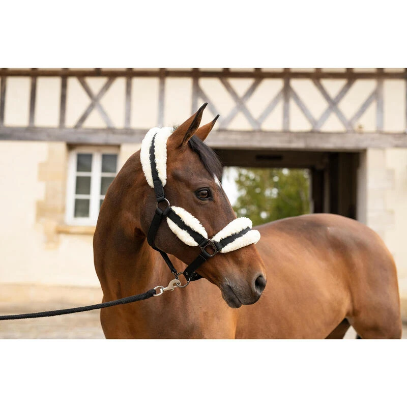 Licol équitation Mouton Synthétique Poney - Noir Et Beige 4 Licol équitation Mouton Synthétique Poney - Noir Et Beige – Image 2