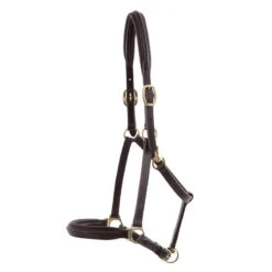 Licol Pour Cheval Rembourré Cuir Premier Equine -Maître Équestre licol pour cheval rembourre cuir premier equine 3