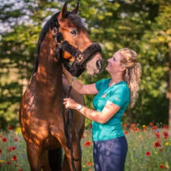 Licol Suave Horsegear Noir -Maître Équestre licol suave horsegear noir 3