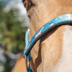 Licol Sweetie Epplejeck Bleu Clair -Maître Équestre licol sweetie epplejeck bleu clair 2