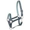 Licol Zari Horsegear Vert Foncé -Maître Équestre licol zari horsegear vert fonce
