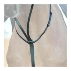 Martingale En Cuir à Anneaux Kavalkade -Maître Équestre martingale en cuir a anneaux kavalkade 2