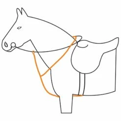 Maître Équestre -Maître Équestre martingale epplejeck marron 1