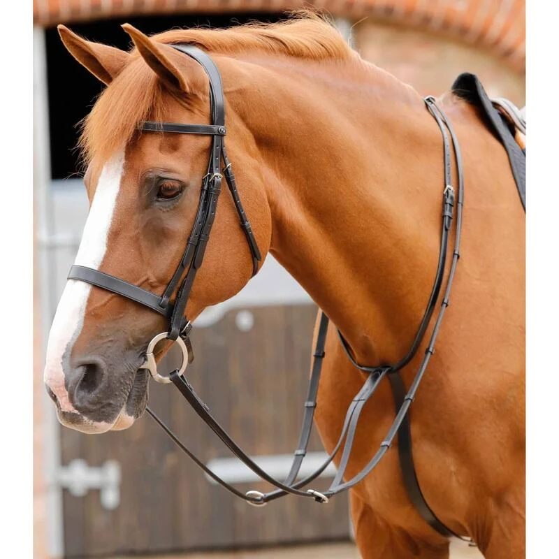Martingale Pour Cheval Premier Equine Fuscaldo 3 Martingale Pour Cheval Premier Equine Fuscaldo