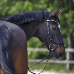 Mors 2 Anneaux Pour Cheval Sprenger Novocontact -Maître Équestre mors 2 anneaux pour cheval sprenger novocontact 3