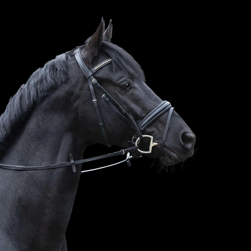 Mors Pour Cheval à Olive Dynamic Rs Sprenger 5 Mors Pour Cheval à Olive Dynamic Rs Sprenger – Image 3