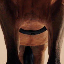 Surfaix De Travail équitation Cheval Et Poney - Noir -Maître Équestre surfaix de travail equitation cheval et poney noir 4