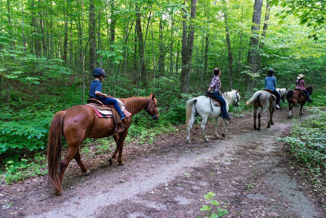 Maître Équestre -Maître Équestre Horseback Riding sub Pathways on Pleasure Valley